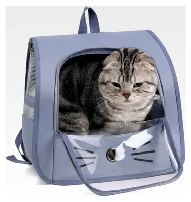 Produktbild von Haustier-Rucksack für kleine Hunde und Katzen, tragbar und faltbar, für Tiere bis 10 kg, atmungsaktive Tragetasche für Reisen und Spaziergänge