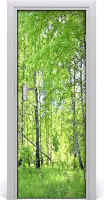 Imagen del producto de Adhesivo decorativo para pared, 75x205 cm. Adhesivo autoadhesivo, impermeable, papel tapiz removible. Ideal para dormitorios, salones y decoración del hogar. Marca: Birkenwald