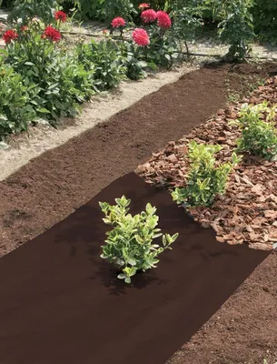 Produktbild von Brauner Mulchfilz "Antiherbas Geotex" - 1,60 x 10 m -