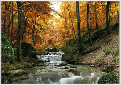 Produktbild von Wallario Wandbild Kleiner Bach über Steine im Herbstwald, Größe: 70,30 x 100,30 cm, Poster mit weißem Kunststoffrahmen