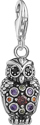 Produktbild von THOMAS SABO Charm-Anhänger Eule 1479-643-7