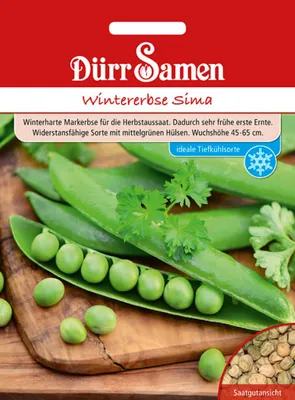 Produktbild von Dürr-Samen - Wintererbsen Sima - Saatgut - 4354