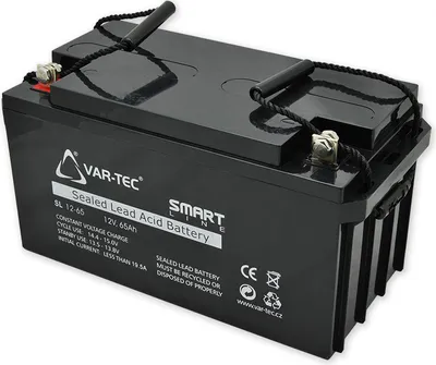 Immagine prodotto di AKKU SMART 12V/65Ah - Backup EZS, durata 3-5 anni