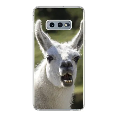 Produktbild von MuchoWow® Handyhülle Schutzhülle Hülle für Samsung Galaxy S10e Lama - Lustig - Kinder - Jungen - Mädchen - Kinder Silikon Softcase Handy Hülle - Handy