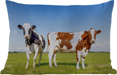 Produktbild von MuchoWow® Outdoor Kissen - Kühe - Bauernhof - Gras - Natur - Tiere - 60x40 cm - Wetterfest - Lounge Kissen - Zierkissen - Kissen für Innenräume