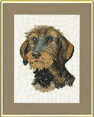 Zdjęcie produktu dla Schemat haftu krzyżykowego "Bassotto" autorstwa Evy Rosenstand, wymiary 28x35 cm