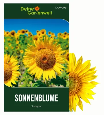 Produktbild von Zwergsonnenblumen Sunspot Samen - Helianthus annuus - Sonnenblumensamen - Blumensamen - Saatgut für 20 Pflanzen