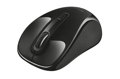 Obrázek produktu pro Trust 21192, Pro praváky i leváky, Optický, Bluetooth, 1600 DPI, Černá