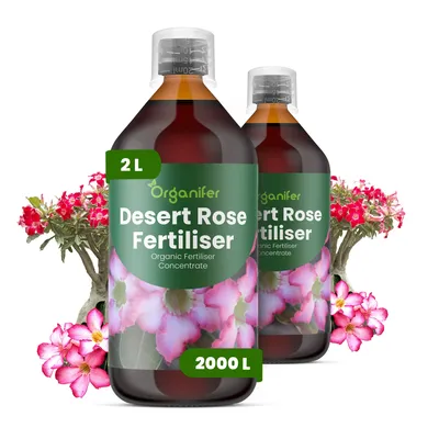 Produktbild von Wüstenrosen Flüssigdünger 2x1L – 2-1-8 NPK – Flüssigdünger Für Sukkulenten – Für Blätter & Üppige Blüte – Fördert Wurzeln & Vitalität – Organifer