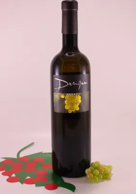 Imagen del producto de Nekaj Friulano - 2019 - Bodega Damijan