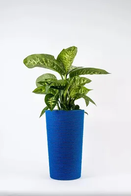 Zdjęcie produktu dla Doniczka bawełniana niebieska z wkładem 28x47 cm – ręcznie robiona ADONI
