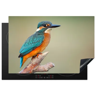 Produktbild von KitchenYeah© Herdabdeckplatte Vogel - Eisvogel - Zweig , 78x52cm, Küche Deko, Glaskeramikkochfeld Herdabdeckung, Abdeckplatte fùr Kochfeld