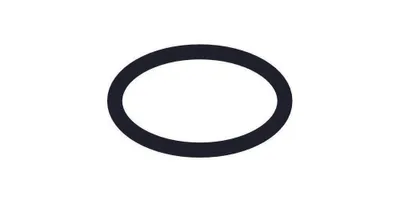 Produktbild von Hansgrohe O-Ring 39x2mm