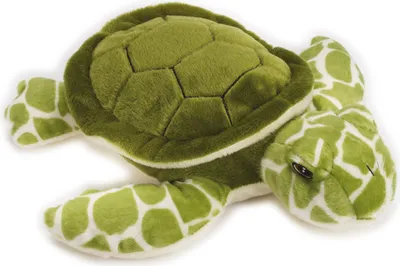 Image de Play Eco Peluche Tortue 37 cm