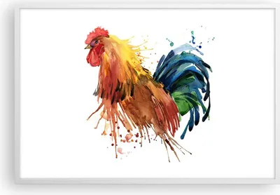 Produktbild von Gerahmtes Poster - Weißer Rahmen - Hahn Ilustration Tier Farben - 91,5x61 cm - Wand Bild - Wanddeko - Wandbilder - Wandposter - Bilderrahmen - Bilder - Kunstdruck - Wandbild - P2WAA91x61-2842