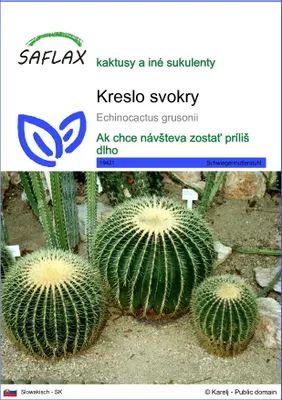 Obrázok produktu pre SAFLAX - kreslo svokry - Echinocactus grusonii - 40 Semená