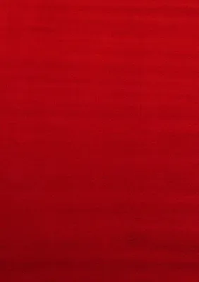 Produktbild von Villa Möbel Skyvio Wohnzimmer-Teppich, Kurzfloor-Teppich, Waschbar, Einfarbig, Farbe:Rot, Grösse:60x110 cm