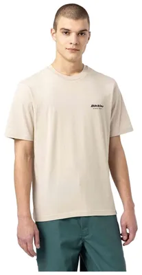 Immagine prodotto di T-shirt Dickies DICKIES DK0A4XNY - Camiseta da Uomo
