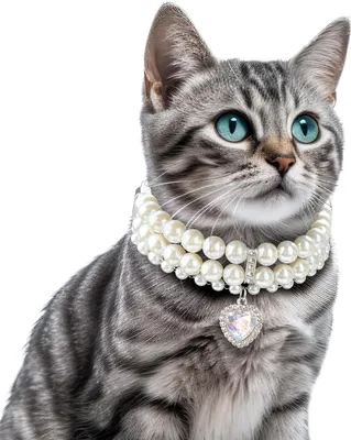 Produktbild von Verstellbare Halsbänder für kleine Hunde und Katzen mit Perlen und Strass