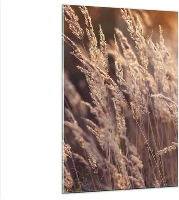 Produktbild von Bilder auf glas - Einteilig - Boho Ähren Feld - 80x120cm - Glasbilder - Wandbilder - Bilder - zum Aufhängen bereit - Wanddekoration aus Glas - Glas Bilder - Wandbild auf Glas - GPA80x120-4838