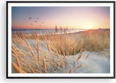 Produktbild von Gerahmtes Poster - Schwarzer Rahmen - Sonne Vögel Sand - 100x70 cm - Wand Bild - Wanddeko - Wandbilder - Kunstposter - Wandposter - Bilderrahmen - Bilder - Kunstdruck - P2BAA100x70-4810