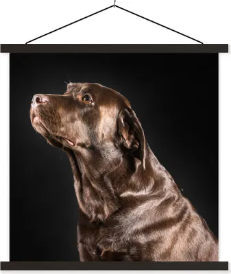 Produktbild von MuchoWow® Textilposter Hund - Braun - Porträt 60x60 cm mit schwarzem Rahmen - Posteraufhänger
