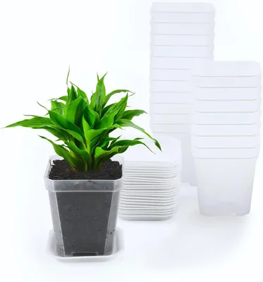 Obrázek produktu pro TRANKIELO® - 24 průhledných květináčů, 7 cm - Květináče s odtokovou miskou - Ideální pro sukulenty a orchideje