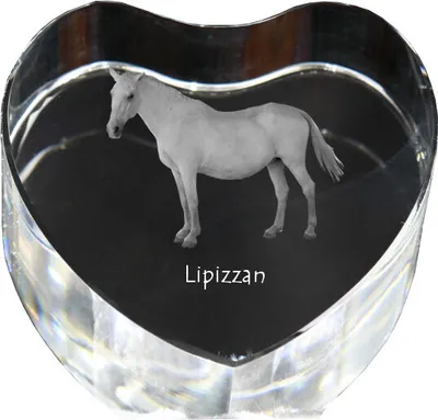 Obrázek produktu pro Lipicán - fotografie koně v křišťálu, křišťálové srdce, jedinečný rám s fotografií značky Art-Dog