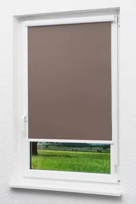 Produktbild von Lysel Outlet - Kassettenrollo abdunkelnd Schokobraun, (B x H) 110cm x 175cm in braun/Schokobraun