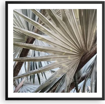 Produktbild von Gerahmtes Poster - Schwarzer Rahmen - Blatt Palme Natur - 60x60 cm - Wand Bild - Wanddeko - Wandbilder - Kunstposter - Wandposter - Bilderrahmen - Bilder - Kunstdruck - P2BAC60x60-5056