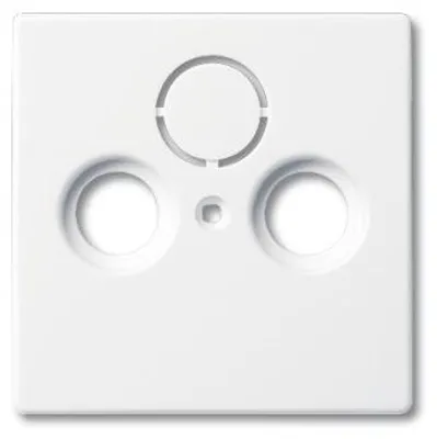 Immagine prodotto di BUSCH-JAEGER Zentralplatte Ant.dose 2f futuro lineare std-ws glz