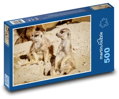 Obrázek produktu pro Puzzle 500 Surikaty v zoo - martinpuzzle