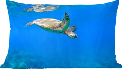 Produktbild von MuchoWow® Zierkissen Sofakissen Wohnzimmer Dekokissen 60x40 cm Schildkröte schwimmt im Meer - Kopfkissen - Polster mit Foto