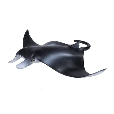 Produktbild von Animal Planet Mantarochen