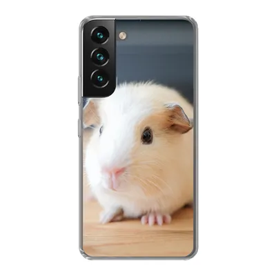 Produktbild von MuchoWow® Handyhülle Schutzhülle Hülle für Samsung Galaxy S22 Niedliches Baby-Meerschweinchen Silikon Softcase Handy Hülle - Mobiltelefonhülle