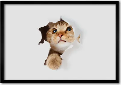 Produktbild von Bild - Bilder - Bilderrahmen - 70 cm x 50 cm - MDF-Rahmen, Wandkunst Katze im Loch