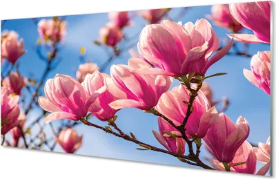 Produktbild von Glasbilder 100x50 Wandkunst Baum Blumen