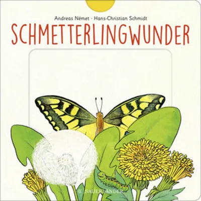Produktbild von Schmetterlingwunder