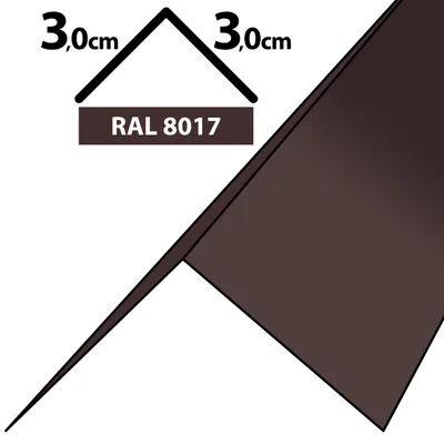 Produktbild von 2m Winkelblech Kantblech Kante Blechwinkel pulverbeschichtetes 0,5mm Zuschnitt 6cm RAL-8017 Braun