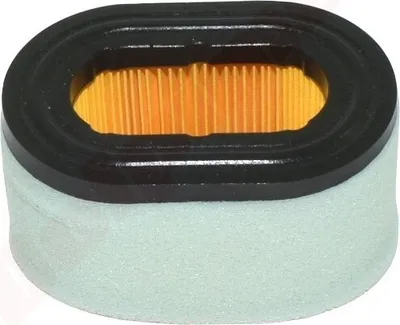 Immagine prodotto di Filtr Pow. B&S Ohv600 ( 494586 , 273185 ) Set 98X67X56