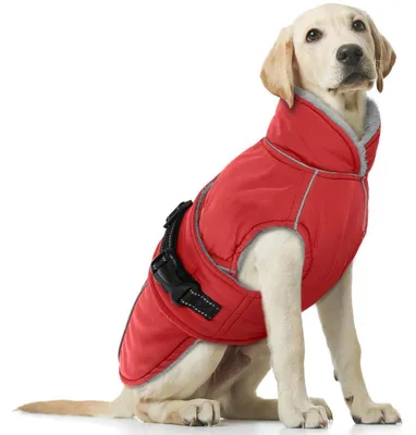 Immagine prodotto di Cappotto impermeabile per cani, caldo e antivento, colore rosso, taglia XL