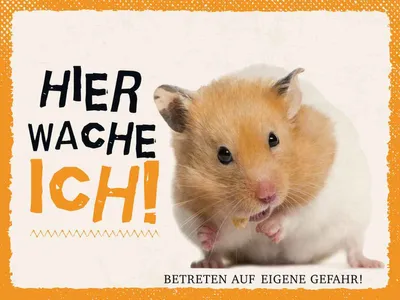 Produktbild von vianmo Holzschild 30x40 cm Hamster hier wache ich eigene Gefahr Tier Haustier