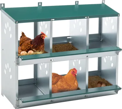 Produktbild von Hühnernistkasten mit 6 Nistfächern Grün Metall Hühnerstall Legenest mit geneigtem Boden und Eierschutz 81x41x67 cm