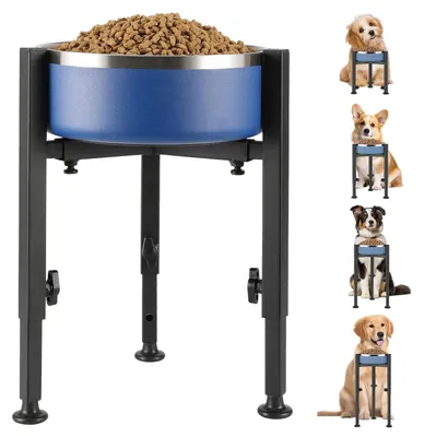 Image de Distributeur de nourriture pour chiens surélevé avec 4 hauteurs réglables - Bol à nourriture en métal pour chiens