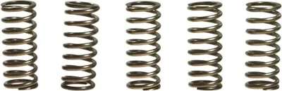 Immagine prodotto di Kit 5 molle frizione EBC rinforzate 10% CSK101 per Honda