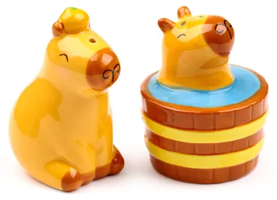 Keramik Salz- & Pfefferset Capybara, 2-teilig, mehrfarbig