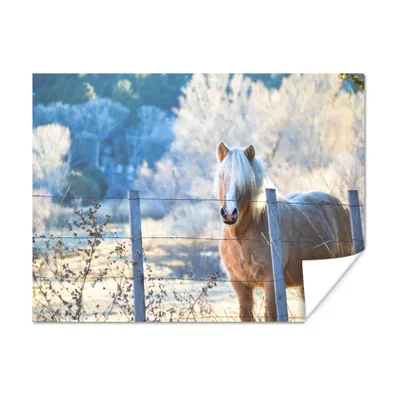 Produktbild von MuchoWow® Poster Pferd - Winter - Schnee 80x60 cm - Kunst für zu Hause