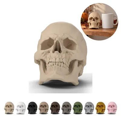 Produktbild von Totenkopf Deko Schädel realistisch 9,3 cm, PLA – Beige