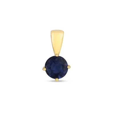 Productafbeelding van Gouden hanger (18 karaat) met saffier - 12mm x 6mm; TRS33769KY