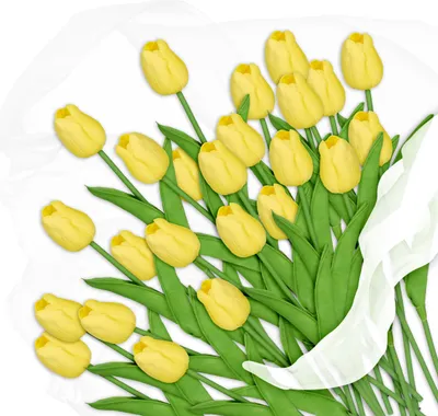 Zdjęcie produktu dla Sztuczne tulipany Relaxdays, 24 sztuczne kwiaty wyglądające jak prawdziwe, ozdobne tulipany z tworzywa sztucznego, długość ok. 33,5 cm, kolor żółto-zielony